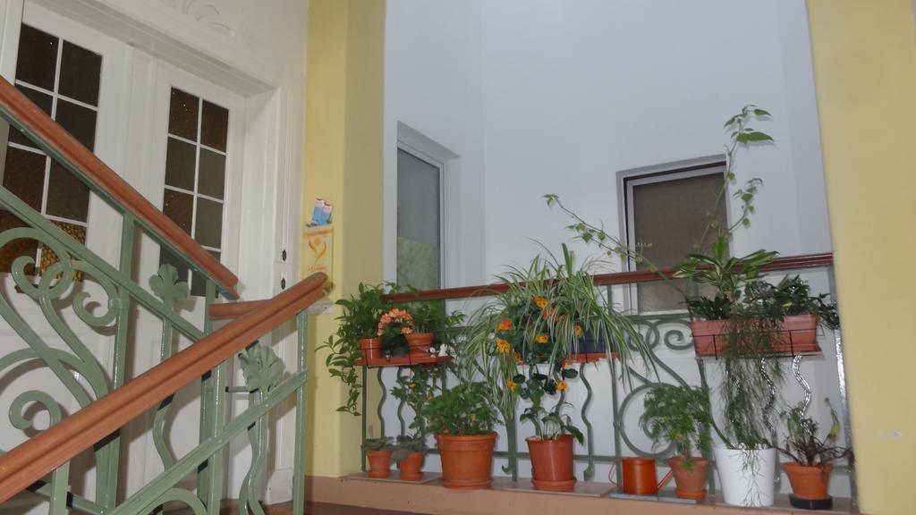 دريسدن Private Gastezimmer Bei Ila Zimmerling الغرفة الصورة