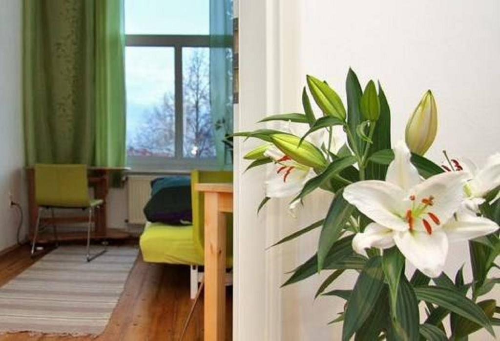 دريسدن Private Gastezimmer Bei Ila Zimmerling الغرفة الصورة